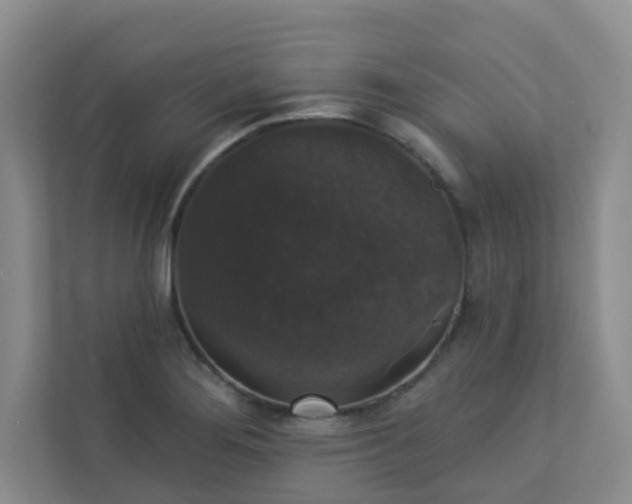 X0000113281276200909280944