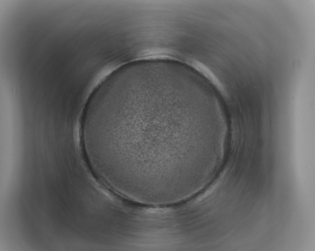 X0000113281277200909280944