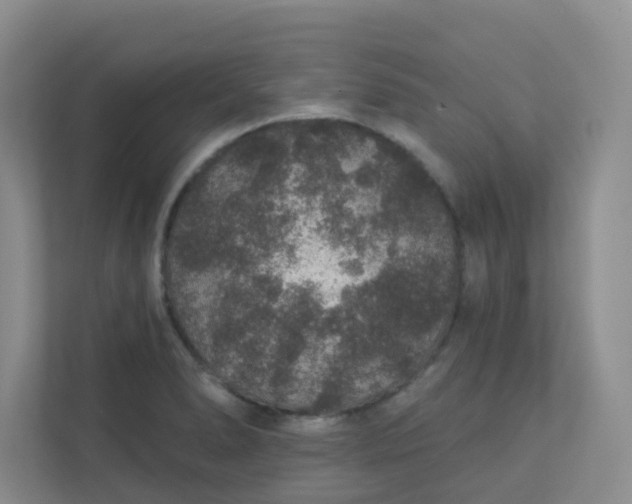 X0000113281278200909280944