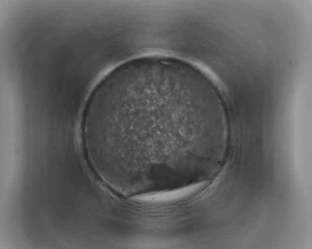 X0000113281279200909280944