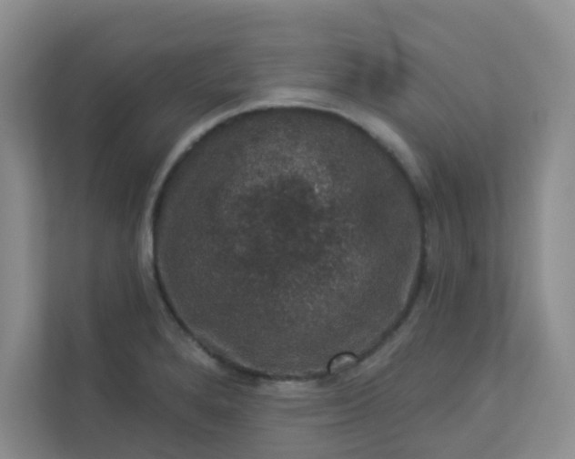 X0000113281280200909280944