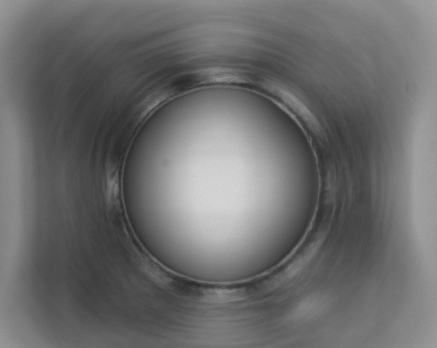 X0000113281281200909280944