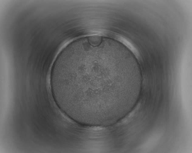 X0000113281283200909280944