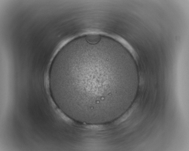 X0000113281287200909280944