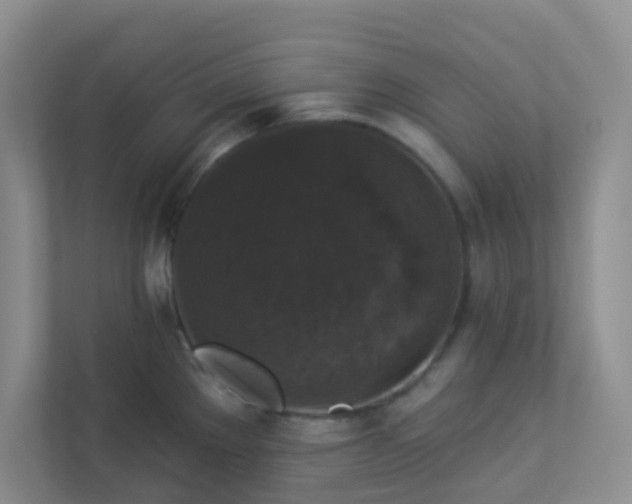 X0000113281289200909280944