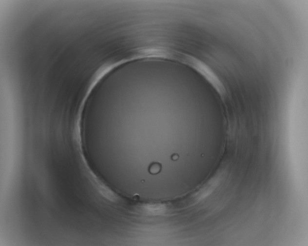 X0000113281291200909280944