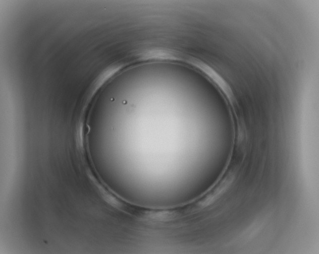 X0000113281293200909280944