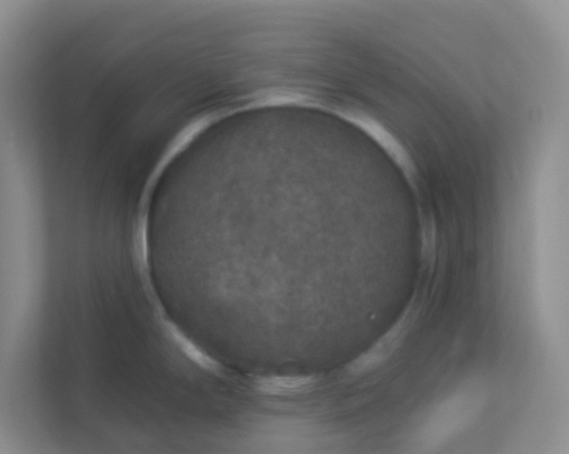 X0000113281294200909280944