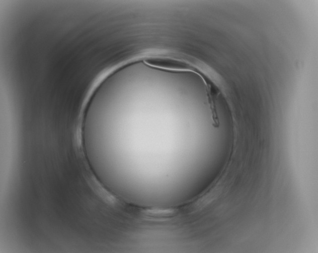 X0000113281296200909280944