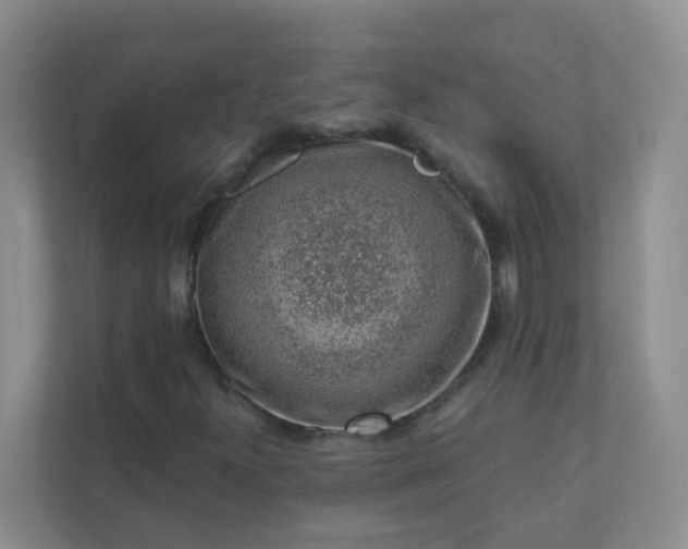 X0000113281300200909280944