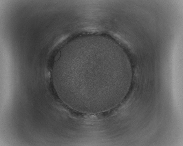 X0000113281302200909280944