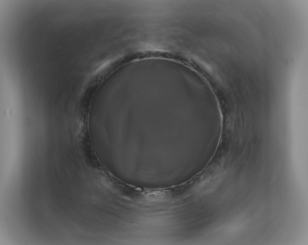 X0000113281303200909280944