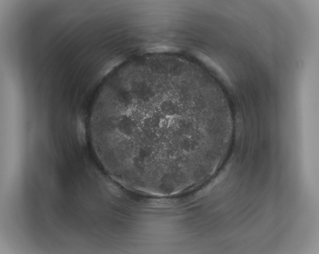 X0000113281305200909280944