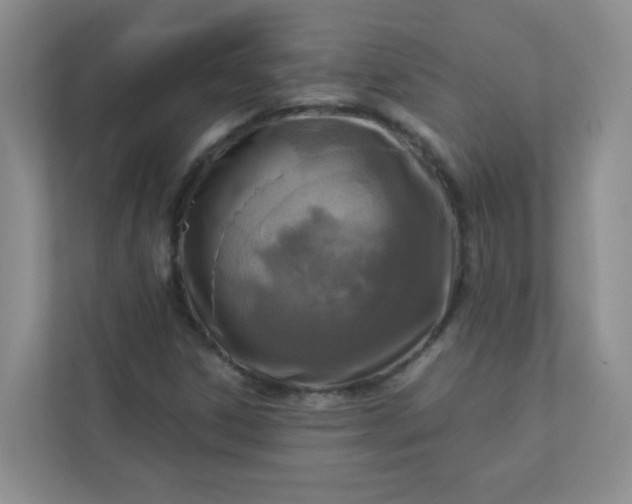 X0000113281306200909280944