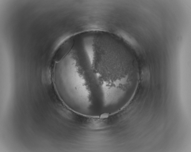 X0000113281310200909280944