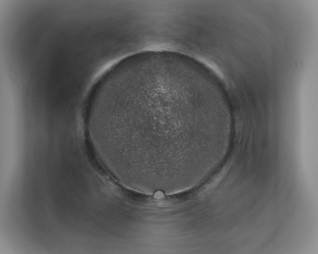 X0000113281311200909280944