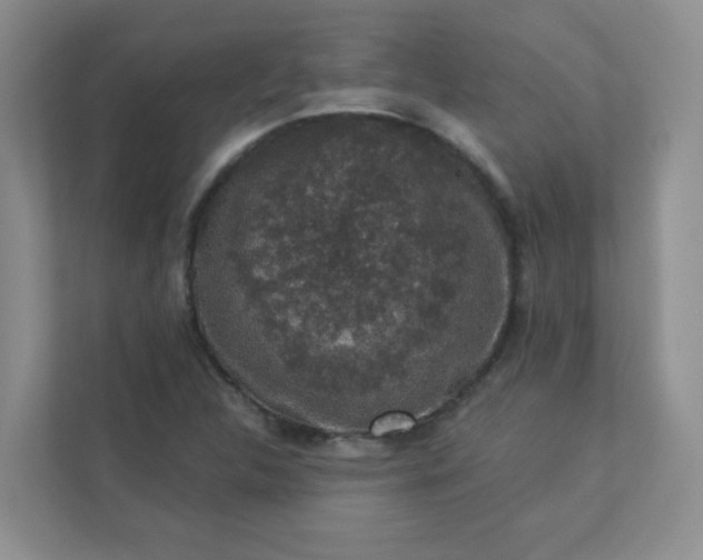 X0000113281312200909280944