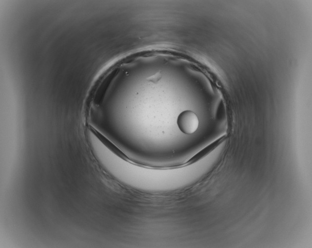 X0000113281316200909280944