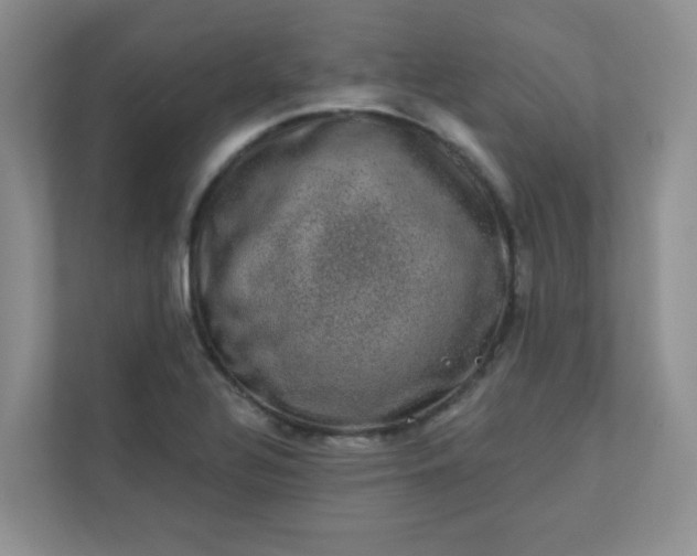 X0000113281320200909280944