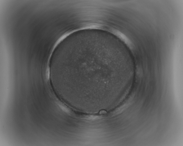 X0000113281324200909280944