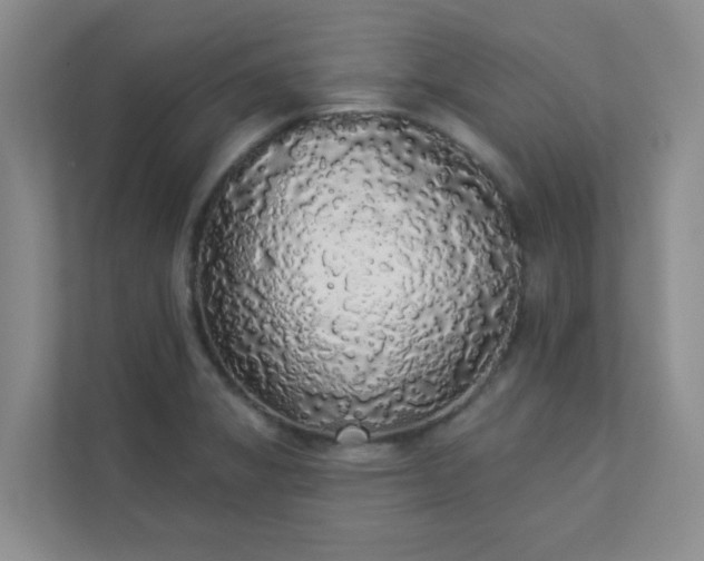 X0000113281325200909280944