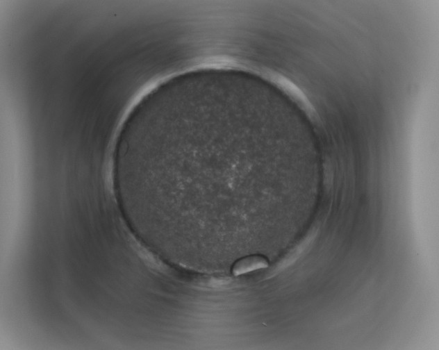 X0000113281326200909280944