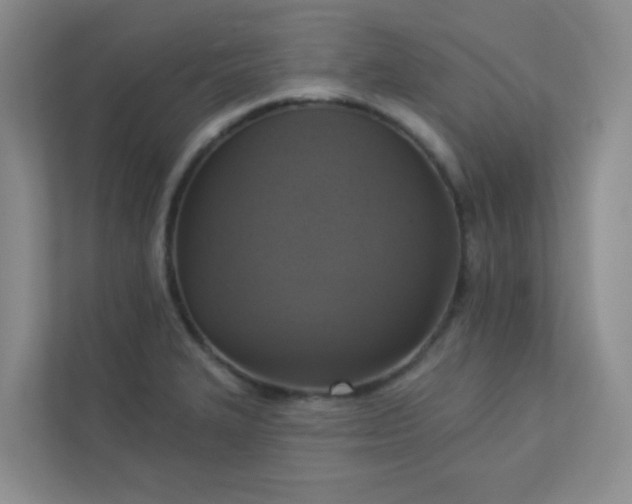 X0000113281327200909280944