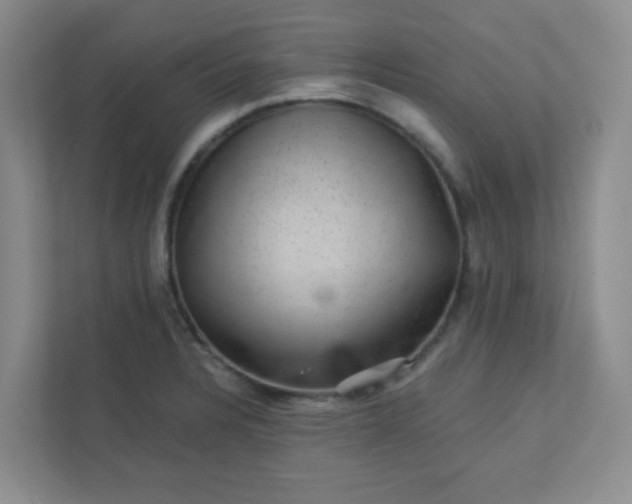 X0000113281328200909280944