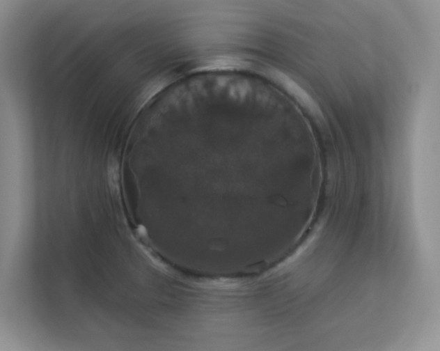 X0000113281329200909280944