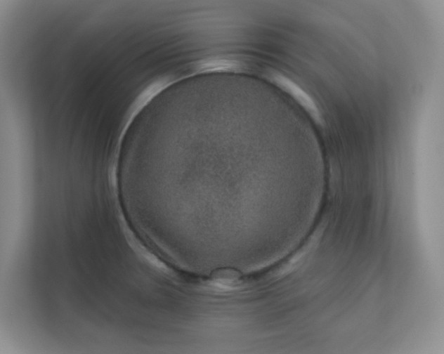 X0000113281330200909280944