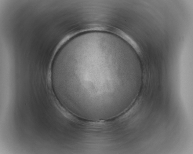 X0000113281332200909280944