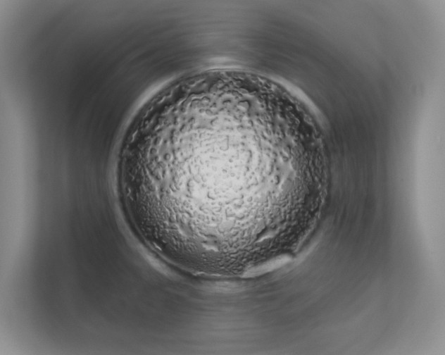 X0000113281333200909280944