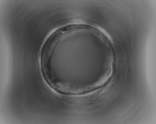 X0000113281334200909280944