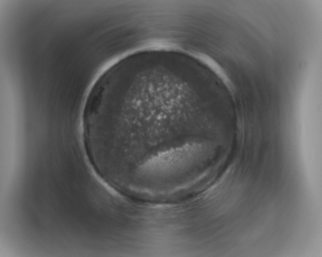 X0000113281335200909280944