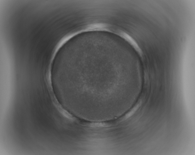 X0000113281336200909280944