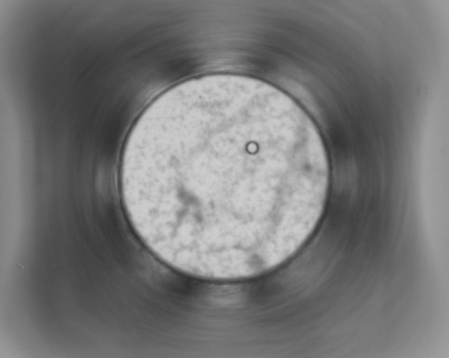 X0000113281338200909280944