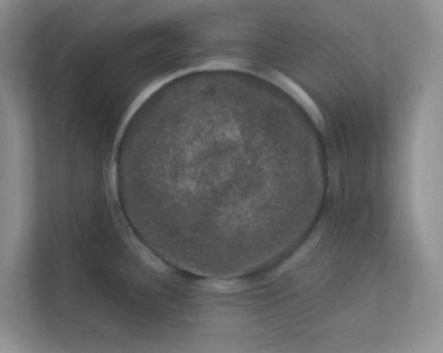 X0000113281340200909280944