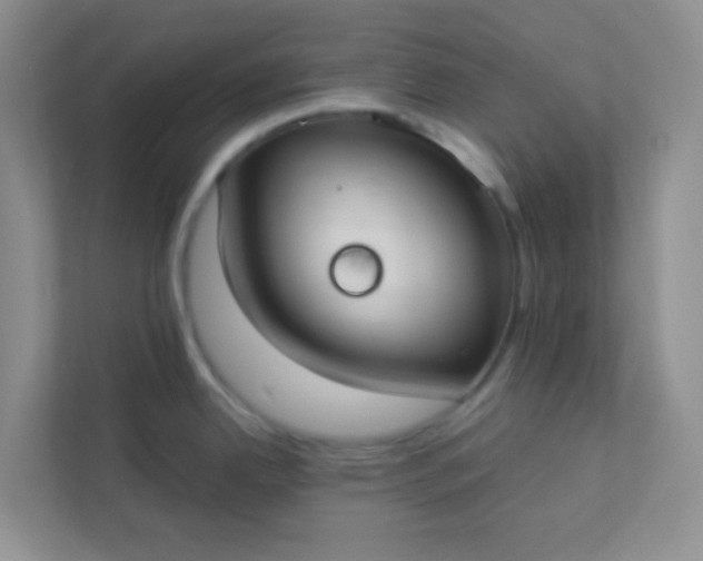 X0000113281342200909280944