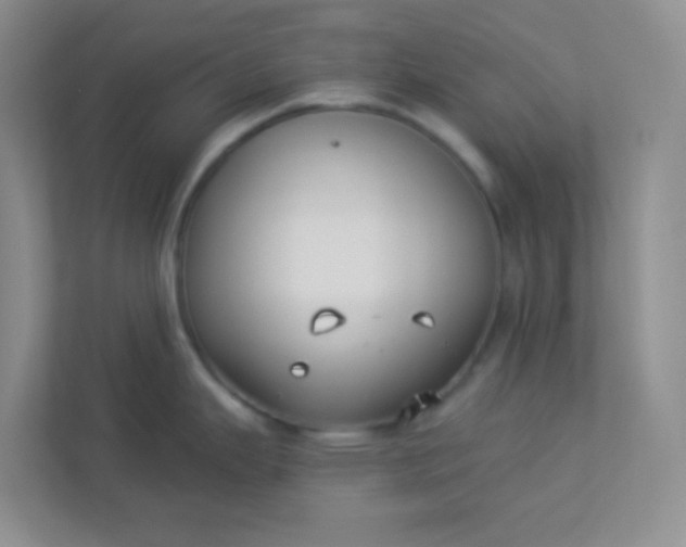 X0000113281343200909280944