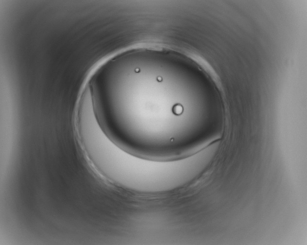 X0000113281344200909280944