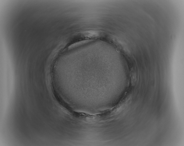 X0000113281345200909280944