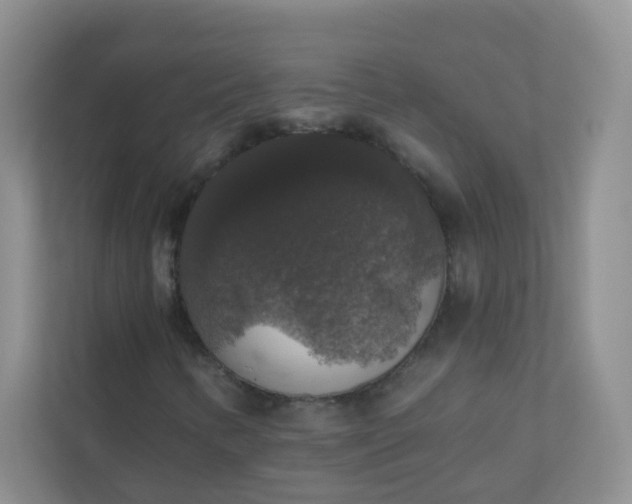 X0000113281346200909280944