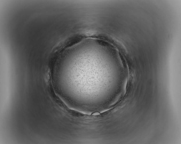 X0000113281349200909280944