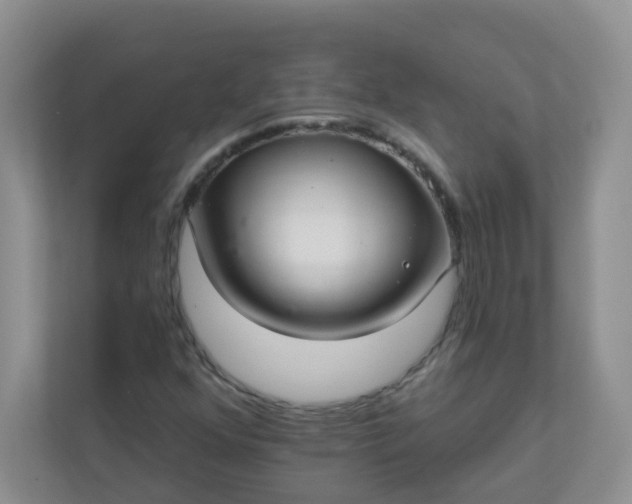 X0000113281352200909280943