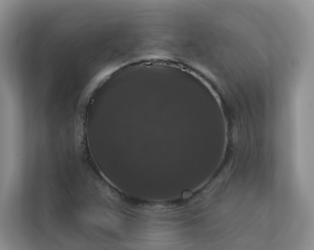 X0000113281359200909280943