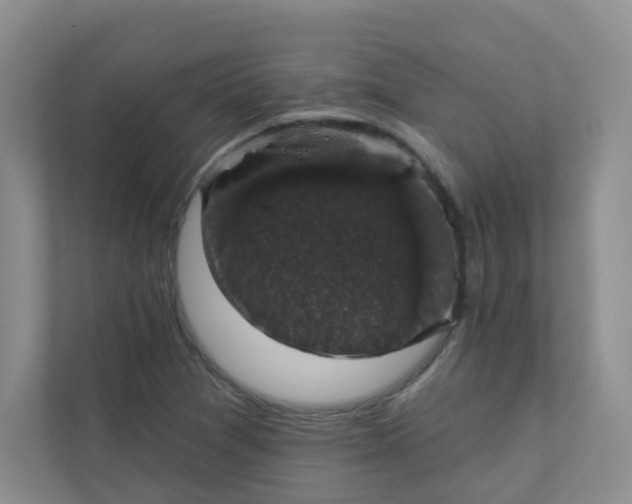 X0000113281361200909280943