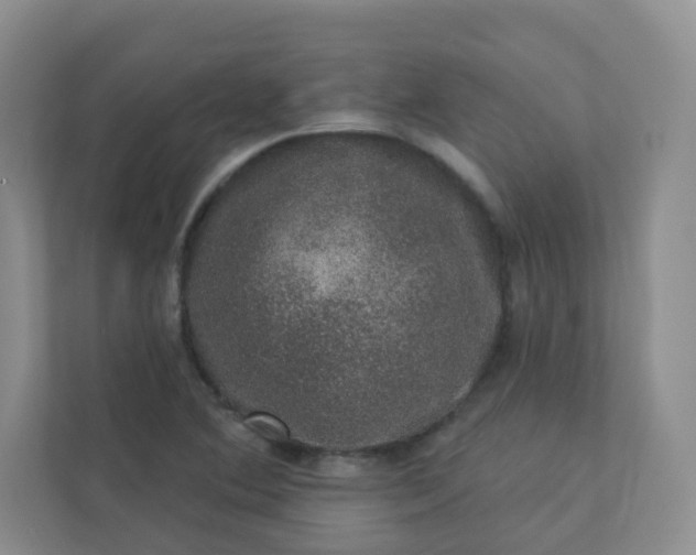 X0000113281364200909280943