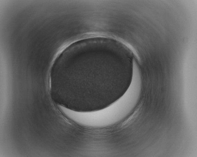 X0000113281365200909280943