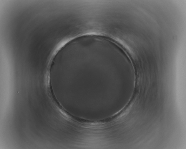 X0000113281367200909280943