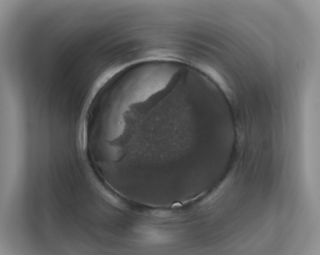 X0000113281371200909280943